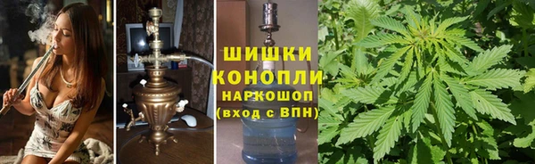 индика Армянск