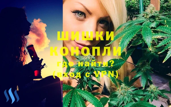 индика Армянск