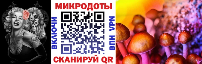 Псилоцибиновые грибы прущие грибы Липки