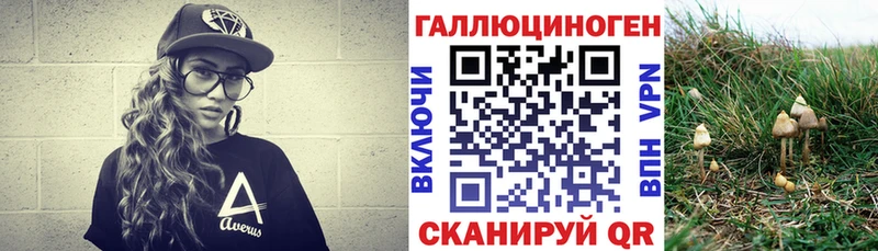 MEGA онион Липки Псилоцибиновые грибы Psilocybe
